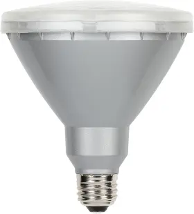 03110 WESTINGHOUSE LIGHTING Led Flood Bulb Bright Eq