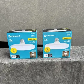 1006-778-018 ECOSMART Led Light Bulb