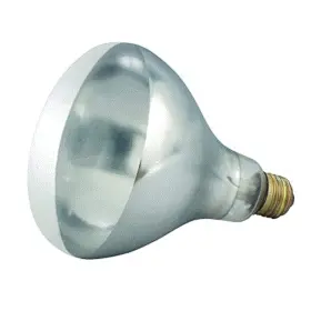 735343676536 WINCO Bulb Heat Lamp Ehl