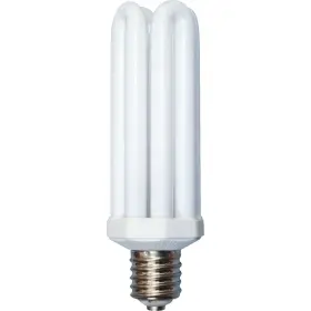 L765 WOODS Mogul Base Security Fixture Cfl
