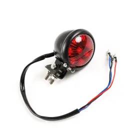 Wynmoto Ry-030 #05fl Red Led Rear Tail Lights Turn Signal Motorcycle Taillights Brake Runni