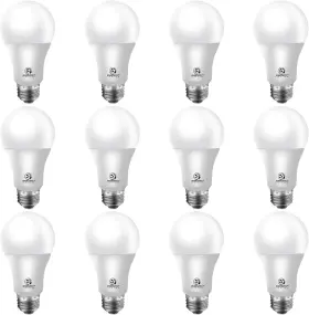744759645289 YANKON Energetic Led Light Bulb Dimmable