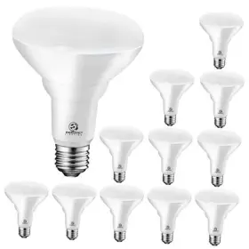 YGA03A65 YANKON Pack Led Recessed Recess Light Bulbs