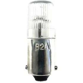 B2A-10PK ZORO SELECT Miniature Neon Light Bulb Formerly