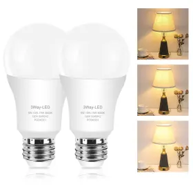 658848787951 ZORYKN Light Bulbs