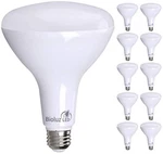 Bioluz Led 10 Pack Brightest Br40 Bulbs Instant On Warm Energy Saving.... Fixed Price $59.99.