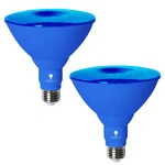 120-watt Equivalent Par38 Decorative Led Light Bulb In Blue (2-pack). Fixed Price $28.31.