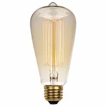 Westinghouse 0413200 - 60 Watt St20 Timeless Vintage Inspired Bulb. Fixed Price $13.03.