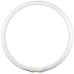Fc55t5/ho/830 Satco 55 Watt T5 Circleline. Fixed Price $9.25.
