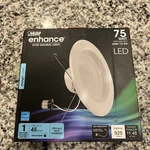 Feit Electric Daylight 5000k 75w White. Fixed Price $8.49.