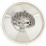Wagner Lighting 4509 Sealed Beam - Box Of 1. Fixed Price $13.99.