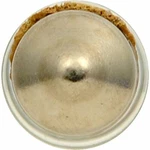 Sylvania 6411 Long Life Miniature Bulb, (contains 2 Bulbs). Fixed Price $7.51.