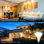 Copy Of Bioluz Led Br40 Bulbs 90 Cri 100w And 120w Replacement Dimmable Floo. Fixed Price $29.99.