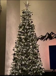 Puleo International 10ft Pre-lit Slim Fraser Christmas Tree 900 Lights Metal St. Fixed Price $140.00.