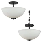 Sea Gull Lighting 77160-839 Convertible Semi-flush/pendant With Etched White. Fixed Price $137.01.