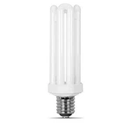Feit Electric Compact Fluorescent Light Bulbs With Mogul Base, 65w. Fixed Price $25.89.
