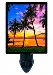 Tropical Decorative Photo Night Light, Beautiful Sunset, Palm Trees. Fixed Price $26.99.