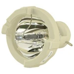 Replacement For Lightcycler 480 Xenon Lamp (for Roche) And Others. Fixed Price $679.32.