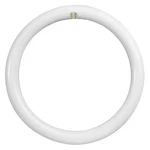 Feit Electric Fc8/840/led Led Circular Bulb, 1400 Lm, 15w. Fixed Price $13.55.