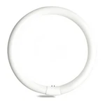 33890 Ge Fc12t9/cw 32w G10q Circular Fluorescent Lamp. Fixed Price $18.99.