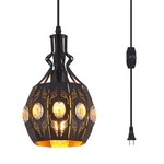 Ylong-zs Hanging Lamp Swag Lights Plug In Pendant Light,hanging With P.... Fixed Price $58.15.