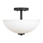 Sea Gull Lighting 77160-839 Convertible Semi-flush/pendant. Fixed Price $210.45.