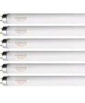 18 Inch F15t8/cw T8 15w Fluorescent Light Fluorescent-18inch-6 Pack, White (bb). Fixed Price $19.99.