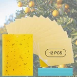12pcs Sticky Fly Trap Paper Fruit Flies Insect Glue Catcher Garden Yellow Traps. Fixed Price $11.95.