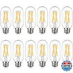 Notoc Dimmable E26 Led Light Bulb 6w,equivalent 60w,e26 Tubular Bulb,antiq. Fixed Price $46.22.