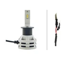 Hella Front Fog Light Bulb 226971511. Fixed Price $50.75.