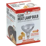 250 Watt Clear Bulb For Brooder Lamp Little Giant Heat. Fixed Price $16.59.