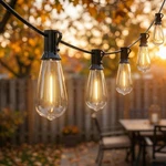 Oviejo Led Outdoor String Lights For Patio 20ft, Waterproof 20ft -st40, Black. Fixed Price $40.99.