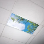 Decorative Fluorescent Light Covers - 2x4ft 22.38in X 46.5in For.... Fixed Price $48.00.