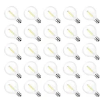 Jslinter G40 Led String Light Replacement Bulbs, 5000k Daylight, 25 Pack, 1w,.... Fixed Price $27.69.