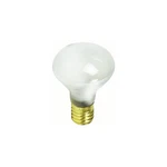 Philips 45r20/ll 120v Incandescent Bulbs. Fixed Price $2.16.