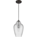 Acclaim Lighting In31191orb Brielle Pendant Oil Rubbed Bronze. Fixed Price $136.00.