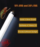 Moumoupurr 3 Pack T5 Uvb Reptile Light 24w 10.0 Bearded Dragon Bulb. Fixed Price $46.99.