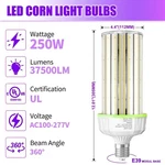 250w Led Corn Light Bulb E39 Mogul Base 37500lumen Commercial Industrial Fixture. Fixed Price $91.20.