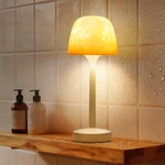 Rechargeable Shower Lamp Waterproof For Inside Shower-bathroom Color Changi. Fixed Price $42.47.