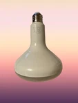 Led Light Bulb Daylight 75-watt Equivalent Br40 Dimmable (6-pack). Fixed Price $20.97.