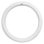 Feit Electric Fc8/840/led Led Circular Bulb,1400 Lm,15w 56jh58. Fixed Price $17.45.