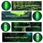 Omk Sunlight Forest Green Led Christmas Flame Light Bulb Decorations E26 E2.... Fixed Price $22.49.