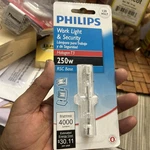 Philips T3 Bulb, 250w, Rsc Base, 120 Vac, Work Light 4000 Lumens. Fixed Price $10.00.