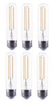 Bioluz Led T10 Dimmable Filament Bulb. Fixed Price $28.99.