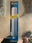 Cxl Plc26/e 4pin G24q-3 Base 3500k Compact Fluorescent Lamp 26 Watt Light Bulbs. Fixed Price $7.00.