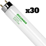 (30) Led Vance/sylvania T8 Bulbs - Fo32/841/eco Medium Bi-pin 4100k White. Fixed Price $129.99.