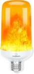 Hudson Led Halloween Lights - Flame Effect Bulb & 4-mode Upside Down Animation. Fixed Price $24.85.