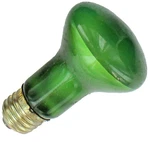Feit R20 50w Green Flood Lamp 130v E26 Medium Edison Base Colored Light Bulb. Fixed Price $7.99.