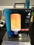 Ecosmart 3-watt Equivalent A19 Cylinder Flame Design Led Light Bulb Amber. Fixed Price $11.91.