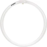Sylvania 2-pack Fc16t9 40w 16" Fluorescent Circular Bulb Cool White 2500lm G10q. Fixed Price $28.99.